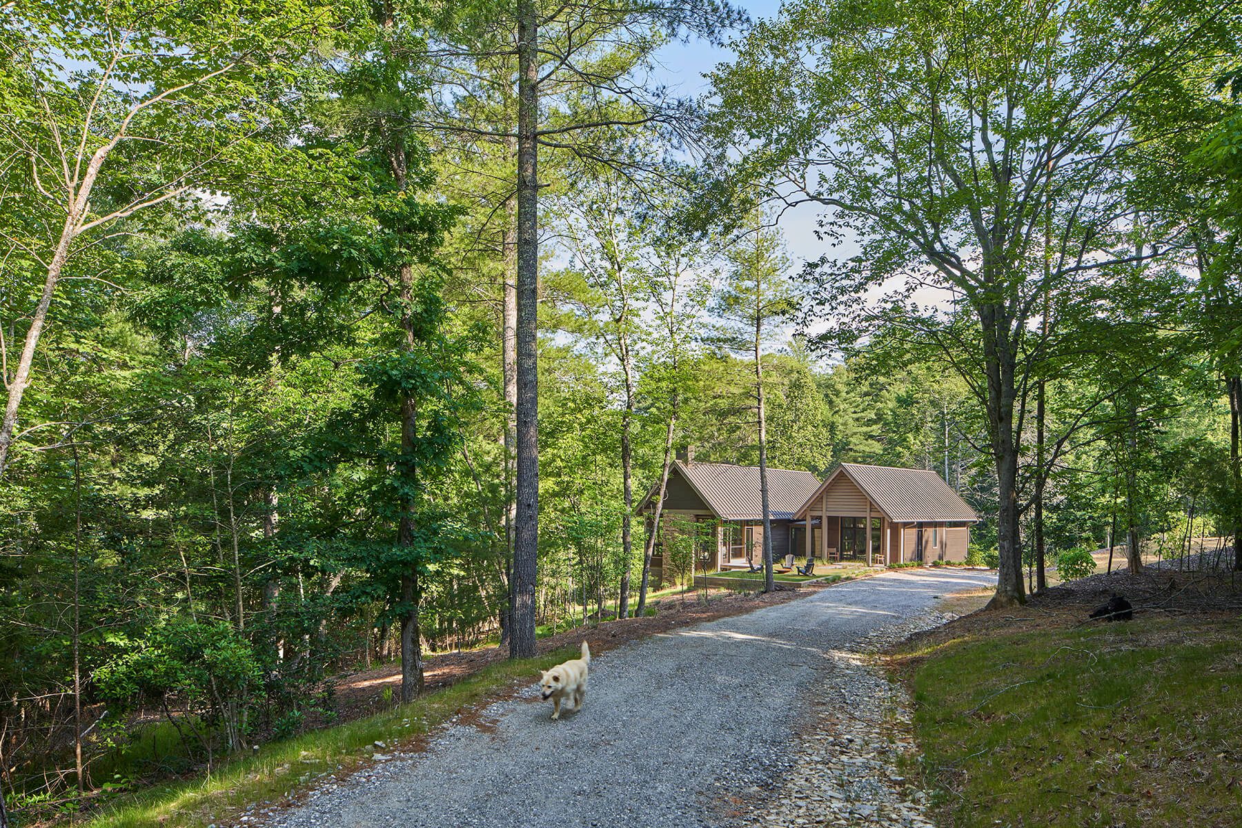 The Camp Campos home exterior and driveway architectural home design in Western North Carolina